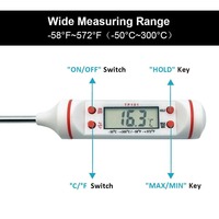 Termometer Digital Mini LCD tampilan, pengukur suhu memasak daging dalam dan luar ruangan bahan plastik