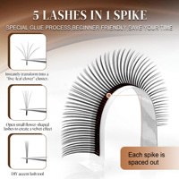 Extensions de cils 5D Flora Spikes en gros, cils féériques 5D effilés C/D/LC/LJ/LU, base plate, faux cils préfabriqués effet mouillé