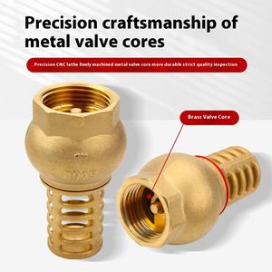 Bomba <span class=keywords><strong>de</strong></span> <span class=keywords><strong>agua</strong></span> <span class=keywords><strong>de</strong></span> latón autocebante Válvula <span class=keywords><strong>de</strong></span> retención Pagoda <span class=keywords><strong>de</strong></span> cobre <span class=keywords><strong>Filtro</strong></span> <span class=keywords><strong>de</strong></span> <span class=keywords><strong>entrada</strong></span> <span class=keywords><strong>de</strong></span> resorte antirreflujo para bombas <span class=keywords><strong>de</strong></span> <span class=keywords><strong>agua</strong></span> - Product Image 4