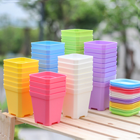 Macetas Cuadradas de Plástico Negro, Mini, Gruesas y Coloridas, para Suculentas y Plántulas, Uso en Hogar y Oficina, Venta al Por Mayor