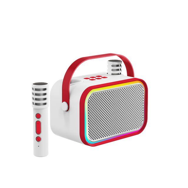 5W HiFi Karaoke Speaker, Built-in Microphone, 2 Wireless Mics, RGB LED, for Party Singing at Home or Outdoors
