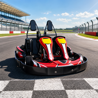 Go Kart Eléctrico con Batería Recargable y Parachoques Anticolisión para Parques Temáticos, Aplicación Comercial para Juegos de Carreras para Adultos