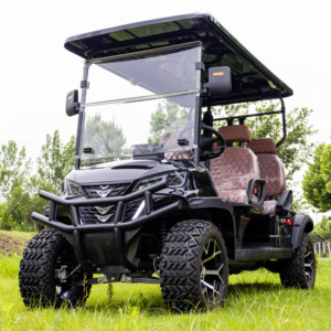 Desain baru Cina 2 penumpang <span class=keywords><strong>4</strong></span> tempat duduk listrik Golf Carts harga murah - Product Image 6