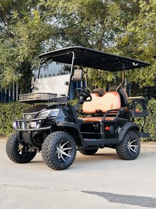 Carros de golf eléctricos con control remoto a la venta, el mejor carrito de golf motorizado, compre un coche de golf - Product Image 5