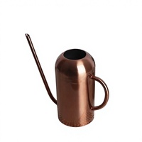Arrosoir en fer finition cuivre de luxe avec long bec, personnalisable, durable, accessoires de jardinage pour l'extérieur et l'intérieur