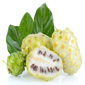 Yüksek kaliteli toptan <span class=keywords><strong>Noni</strong></span> meyve tozu vitamini davul/şişe ambalajlama 99% - Product Image 3