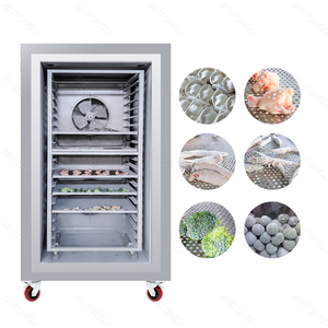 Kommerzielle Platte Flüssig stickstoff Blast Freezer Weiba 1 Jahr Garantie für Meeres früchte & Spinat Purslane Hohe Produktivität 20 Tabletts - Product Image 5