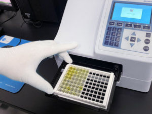 Sıçan MAPK P38 mitojen aktif <span class=keywords><strong>Protein</strong></span> kinaz enzim bağlantılı immünosorbent testi - Product Image 6