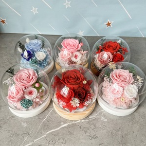 Rosa Eterna Decorativa Redonda <span class=keywords><strong>con</strong></span> Cubierta de Cristal Esférica, Regalo para Navidad y San Valentín - Product Image 1