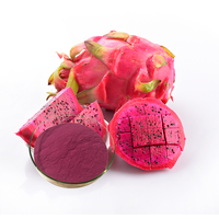 Natuurlijk 100% wateroplosbaar rode drakenvrucht (pitaya) poeder, kruidenextract, topkwaliteit, ISO Kosher gecertificeerd, oplosmiddel-extract, in trommel verpakt