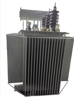 Boîtiers d'instruments électroniques triphasés haute tension 250/315/400/630/800 kVA haute puissance en acier laminé à froid immergé dans l'huile IP65
