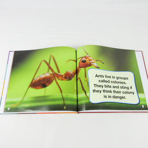 Libro de tablero personalizado al por mayor, cartón de insectos para cuadernos de tapa dura para niños, gran oferta, historia colorida - Product Image 5