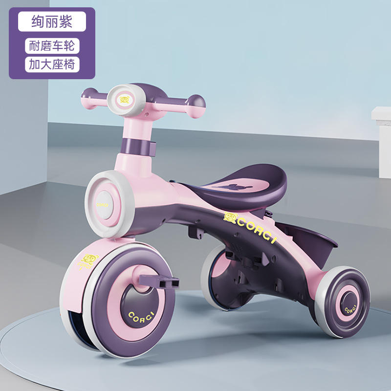 ดนตรีสีม่วงพม่า