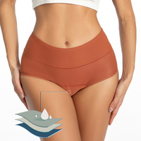 Culottes Menstruelles Réutilisables Anti-Fuite Grande Taille Taille Haute 3 Couches, Personnalisables avec Logo