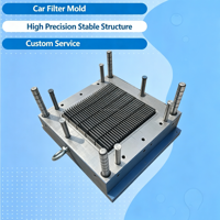 Molde de Inyección Automático Multicavidad Personalizado para Filtros de Automóviles, Molde Profesional para Carcasas de Filtros de Plástico para Automóviles