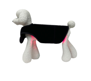 Appareil de thérapie par lumière infrarouge rouge de qualité vétérinaire pour chiens, avec une puissance de 10 W et une batterie de 3000 mAh, pour soulager la <span class=keywords><strong>douleur</strong></span> et prendre soin des articulations - Product Image 1