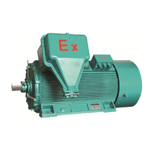 Customized Explosion Proof Motor 10KV Industrial Asynchronous 3 Phase Safe And Environmentally Friendly Ac Motor