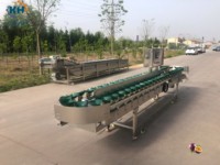 Gebruiksvriendelijke doosweeg- en sorteermachine met hoge capaciteit, geschikt voor het sorteren van fruit en groenten