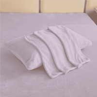 Ensemble de draps en velours polaire doux en peluche de haute qualité pour l'hiver
