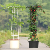 B186 jenis payung bingkai tanaman bunga memanjat luar ruangan dukungan mawar Clematis 14mm Diameter kotak penanam