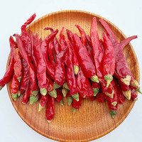 Vente en gros de piment rouge de qualité supérieure à bas prix, épices, herbes individuelles, piment de Cayenne, piment chili séché pour cuisinier
