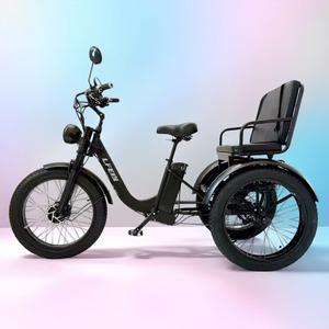 Hot <b>Sale</b> 750w 48v18a Three Wheel Adult E-trike Anti-skid Snowmobile Elderly Mobility E <b>Bike</b> 750w <b>for</b> Lady - Product Image 1