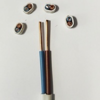 1,5mm 2,5mm gris BVVB RVVB TPS tierra Cable plano cobre sólido PVC 2 núcleos tipo desnudo rollo doble Cable plano 3 núcleo escudo 100M Moq