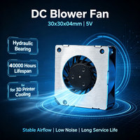 Ventilateur soufflant 5V DC 30x30x04mm avec roulement hydraulique en plastique, durée de vie de 40 000 heures, pour refroidissement PC et imprimante 3D, OEM ODM