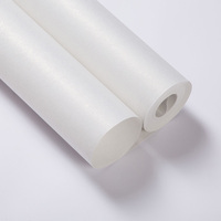 Papier peint moderne minimaliste gris fantôme, non tissé, résistant à l'humidité, insonorisant, pour salon, boutique de vêtements, salon de coiffure