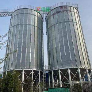 Silo en acier à fond trémie assemblé pour le stockage des céréales, gestion efficace des aliments - Product Image 5