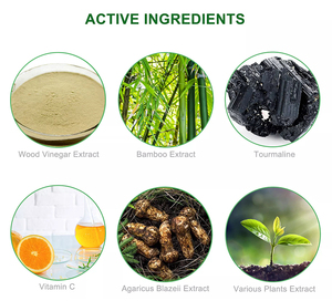 Nouveaux Patchs Détoxifiants Naturels pour les Pieds 2026 aux Herbes, Personnalisables aux Arômes de Gingembre et Thé Vert, Soin 10x13cm, Extrait de Vinaigre de Bois, Vitamine C - Product Image 2