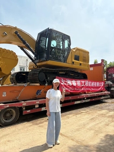 Machines d'excavatrice Cat320D d'occasion fabriquées au Japon Pelleteuse Cat 320E 320D bon marché à vendre - Product Image 5