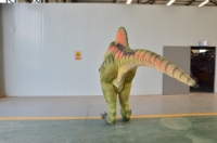 Costume de dinosaure réaliste pour adulte, modèle T-REX, électrique, en silicone, animatronique, pour Halloween