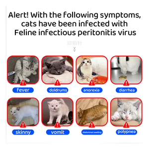 Быстрый тест на антиген вируса инфекционного перитонита у кошек (FIPV Ag) ветеринарные наборы-Простота в эксплуатации, безопасная и надежная - Product Image 4