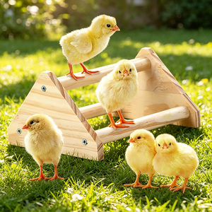 <span class=keywords><strong>Gallinero</strong></span> <span class=keywords><strong>de</strong></span> <span class=keywords><strong>Madera</strong></span> Natural Sólida <span class=keywords><strong>de</strong></span> Múltiples Niveles - Product Image 3