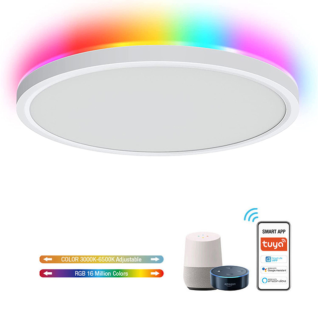 Factory Directly Supply Ultra Slim Surface Mounted LED Ceiling Lamp Tuya Smart App Control Modern Bedroom Use for Wholesale
