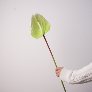 Fleurs artificielles d'Anthurium <span class=keywords><strong>de</strong></span> style européen, type Palm <span class=keywords><strong>Arum</strong></span> Floss Crane, pour la décoration intérieure, <span class=keywords><strong>de</strong></span> la cour et extérieure - Product Image 4