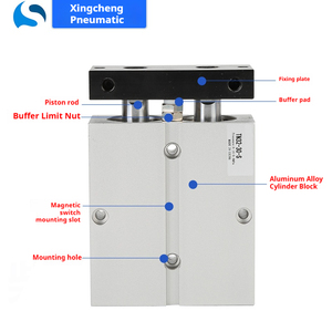 Cilindro Pneumatico Tandem a Doppio Albero e Doppia Asta TN/TDA20X75S Tipo Airtac TN10X50 con Corpo in Alluminio Standard - Product Image 3