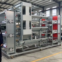 Système de cages automatiques pour poules pondeuses de type H avec collecte des œufs