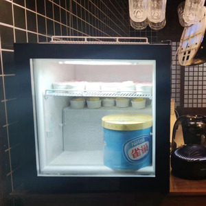맞춤형 55L 휴대용 냉장고 미니 냉동고 아이스크림 냉동고 - Product Image 1