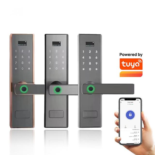 Smart WiFi Electronic Biometric Fingerprint Digital Handle Lock for Aluminum and Wood Doors with Key Backup
