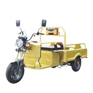 便宜的小型三轮电动货运三轮车电动电池动力车，用于带开箱送餐