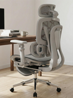 Chaise de bureau ergonomique moderne réglable avec dossier confortable en maille, base en acier, pour usage hôtelier, idéale pour les longues sessions assises, avec cadre en plastique.