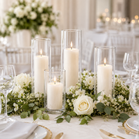 Bouteille en verre épaissi, support de bougie créatif, bouteille vide, grand vase, pot transparent, bouteille pour plantes, poissons et paysages d'intérieur