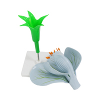 Modelo de flor de guisante, estructura de planta, educación, biología, modelo de enseñanza, disección de ovario extraíble, planta dicotiledónea