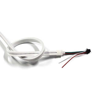 New Style Digital RGB Addressable <b>Lights</b> Rainbow 12V <b>Outdoor</b> Smart Flexible Led Neon Strip <b>Light</b> - Product Image 6