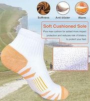 Chaussettes de sport en coton personnalisées avec amorti doux, design respirant et anti-humidité, option de logo personnalisé pour l'entraînement sportif estival