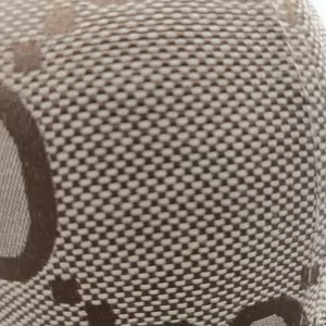 2025 Mới Thiết Kế Tùy Chỉnh Thêu Hat Sang Trọng NY Thể Thao Chính Thức Dobby Phong Cách 100% Polyester Bông Velour Terry Nhà Máy Trực Tiếp - Product Image 6