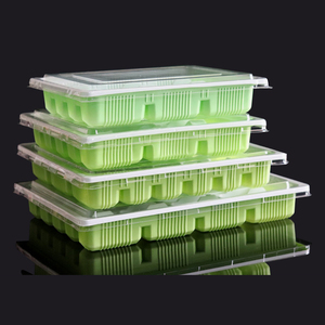 Scatola per gnocchi usa e getta in plastica per contenitore da asporto per gnocchi da 18 griglie all'ingrosso - Product Image 4
