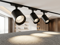 Spot LED magnétique 12W pour rail, luminaire de plafond en aluminium, éclairage sur rail moderne et réglable pour bureaux et bâtiments